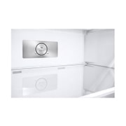 LG 375公升智慧變頻雙門冰箱｜香草白, GN-L372BEN