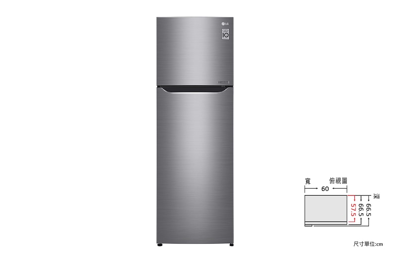 LG 直驅變頻雙門冰箱 / 星辰銀/315公升<br> (冷藏242/冷凍73), GN-L397SV