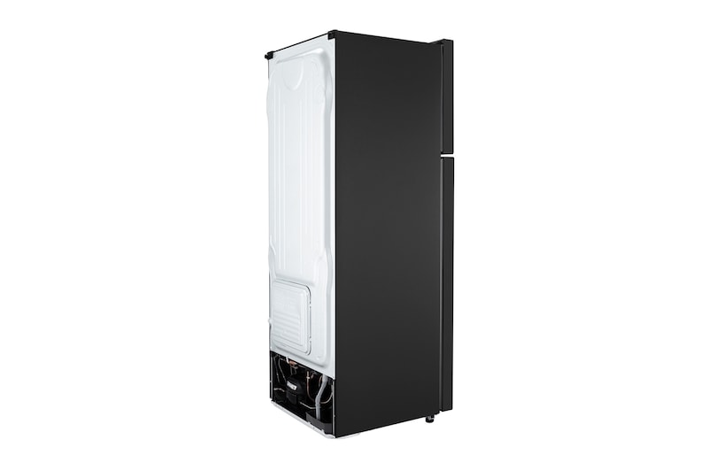LG 直驅變頻雙門冰箱 / 星辰銀/315公升<br> (冷藏242/冷凍73), GN-L397SV