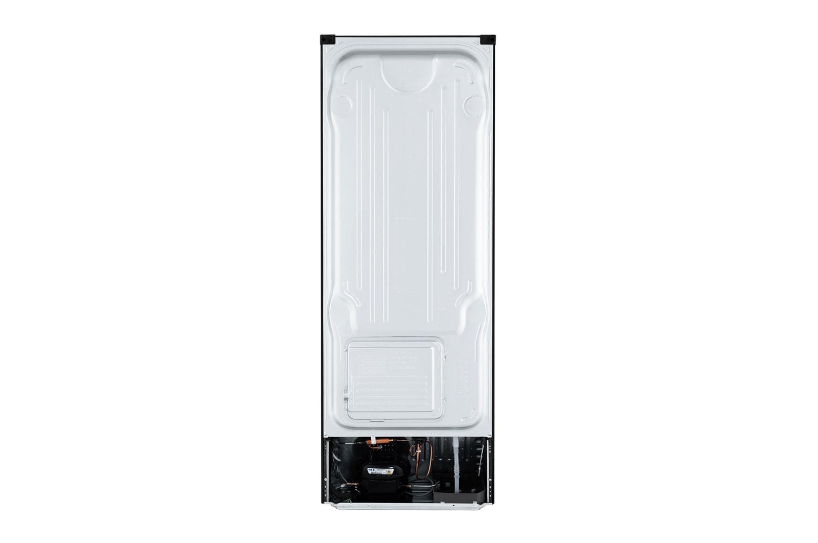 LG 直驅變頻雙門冰箱 / 星辰銀/315公升<br> (冷藏242/冷凍73), GN-L397SV