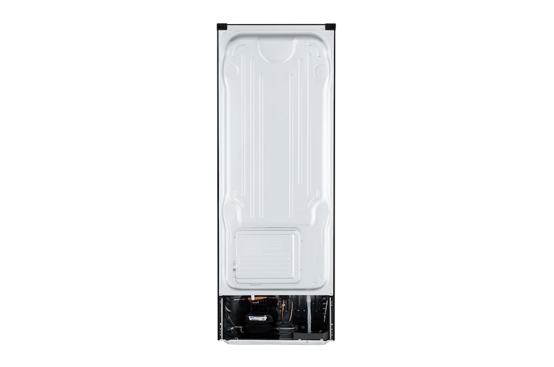 LG 直驅變頻雙門冰箱 / 星辰銀/315公升<br> (冷藏242/冷凍73), GN-L397SV