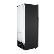 LG 直驅變頻雙門冰箱 / 星辰銀/315公升<br> (冷藏242/冷凍73), GN-L397SV