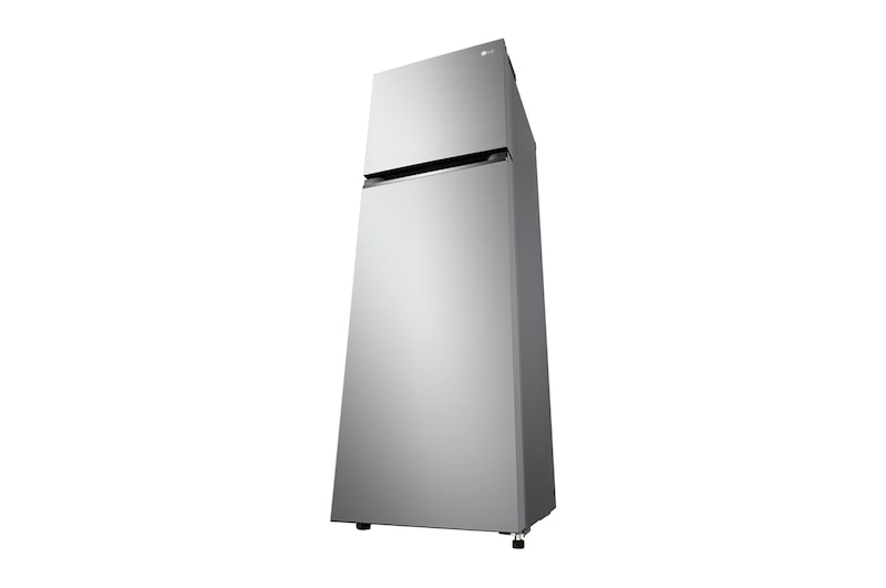 LG 266公升智慧變頻雙門冰箱｜星辰銀, GV-L266SV