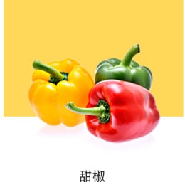 REF-NatureFRESH-LinearTF-03-UsefulTips-04-10-Bell-Peppers-tw