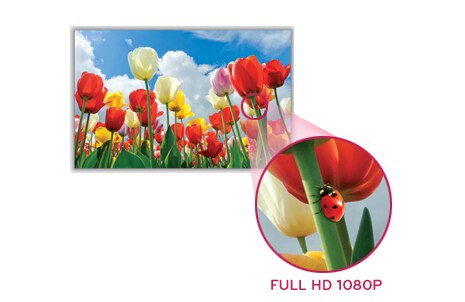 Full HD