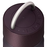 LG XBOOM 360˚ 全景聲藍牙音響 (微醺紅), RP4