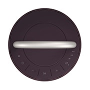 LG XBOOM 360˚ 全景聲藍牙音響 (微醺紅), RP4