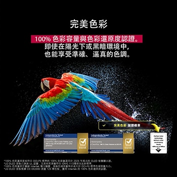 色彩繽紛的鸚鵡以超高清晰度顯示，位於黑色背景中。鸚鵡四周的空氣中懸浮著水滴。圖片中鸚鵡身體上的每種不同顏色都明豔且生動，展示完美色彩效果。UL 和 Intertek 的不同認證標誌也分別顯示。這兩個標誌分別代表 100% 色彩逼真度和 100% 色容量。畫面中也顯示文字，寫著「檢驗完美色彩認證標記」。