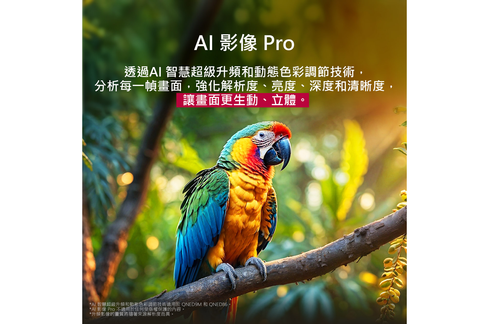 鸚鵡站在樹枝上的畫面，色彩鮮明。標題說明 LG Al Picture Pro 針對畫面的解像度、亮度、深度和清晰度提供驚豔的視覺增強效果。