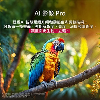 鸚鵡站在樹枝上的畫面，色彩鮮明。標題說明 LG Al Picture Pro 針對畫面的解像度、亮度、深度和清晰度提供驚豔的視覺增強效果。