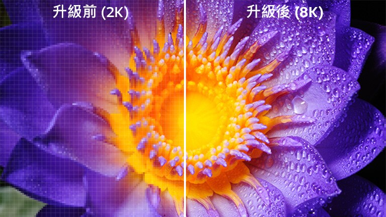 左側為原始 2K 定義的花朵影像，右側為 8K 升級影像。