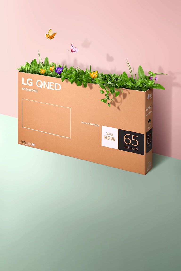 QNED 包裝盒被放置在粉紅色、綠色的背景上，其中長著草，蝴蝶從裡面飛出來。