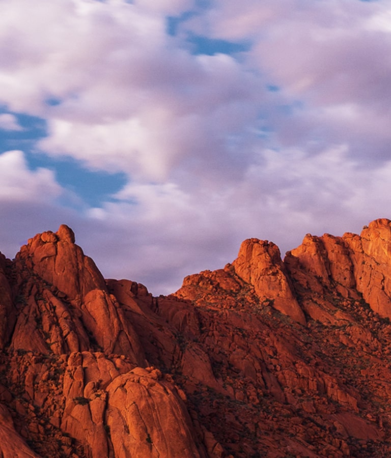 α7 第5代 AI 4K影音處理晶片，增強彩色鳥羽的特寫精細細節。