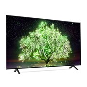 LG OLED經典系列- 4K AI物聯網電視, OLED65A1PSA
