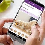 居家保全