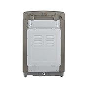 LG TurboWash3D™ 直立式直驅變頻洗衣機｜16公斤 (不鏽鋼銀), WT-D169VG