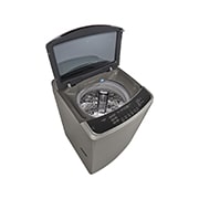 LG TurboWash3D™ 直立式直驅變頻洗衣機｜16公斤 (不鏽鋼銀), WT-D169VG