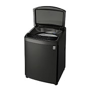 LG 17公斤直立式洗衣機｜極光黑｜直驅變頻 (特定通路販售), WT-D179BG