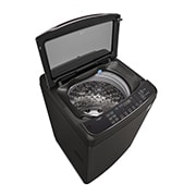 LG 13公斤直立式洗衣機｜極光黑｜蒸氣直驅變頻｜極窄版, WT-SD139HBG