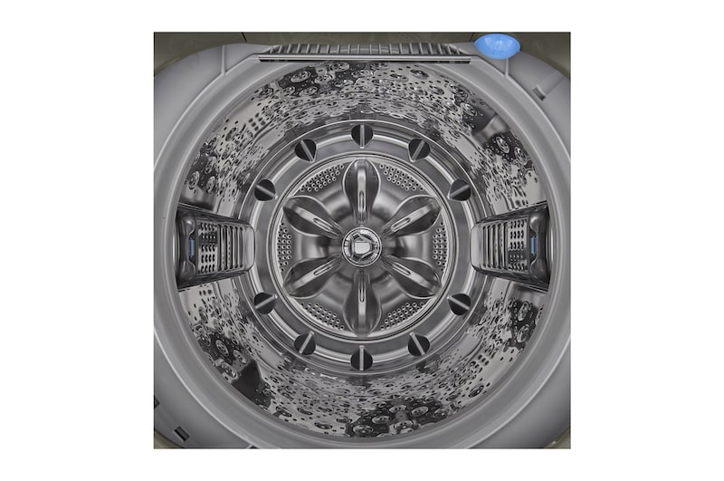 LG 19公斤直立式洗衣機｜不鏽鋼銀｜蒸氣直驅變頻, WT-SD199HVG