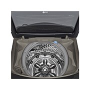 LG 19公斤直立式洗衣機｜不鏽鋼銀｜蒸氣直驅變頻, WT-SD199HVG