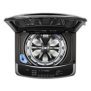 LG 21公斤直立式洗衣機｜極光黑｜蒸氣直驅變頻, WT-SD219HBG