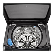 LG 21公斤直立式洗衣機｜極光黑｜蒸氣直驅變頻, WT-SD219HBG