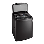 LG 21公斤直立式洗衣機｜極光黑｜蒸氣直驅變頻, WT-SD219HBG