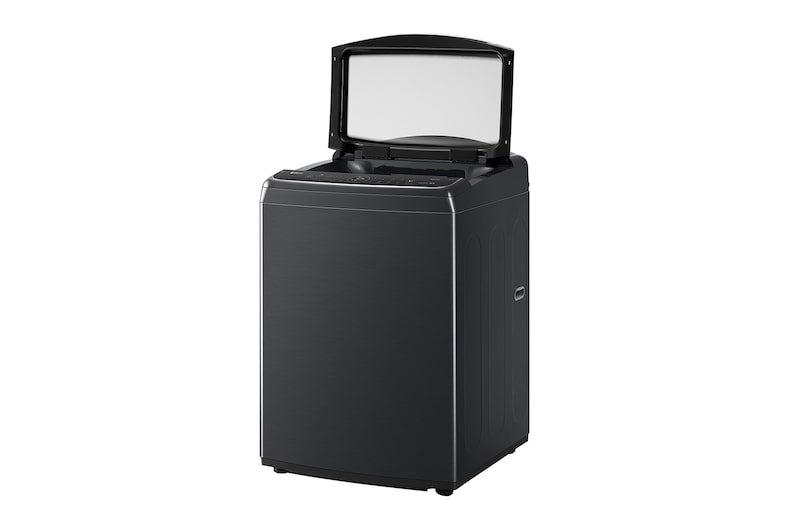 LG 17公斤直立式洗衣機｜極光黑｜智慧直驅變頻｜AI DD™, WT-VD17HB