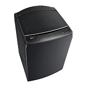 LG 17公斤直立式洗衣機｜極光黑｜智慧直驅變頻｜AI DD™, WT-VD17HB