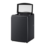 LG 17公斤直立式洗衣機｜極光黑｜智慧直驅變頻｜AI DD™, WT-VD17HB