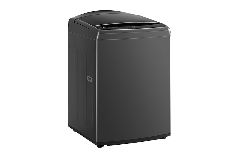 LG 17公斤直立式洗衣機|曜石黑|智慧直驅變頻|AI DD™, WT-VD17HM