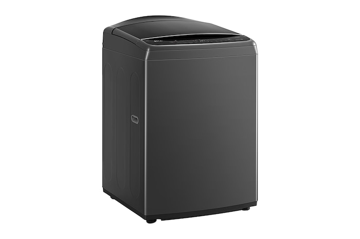 LG 17公斤直立式洗衣機|曜石黑|智慧直驅變頻|AI DD™, WT-VD17HM