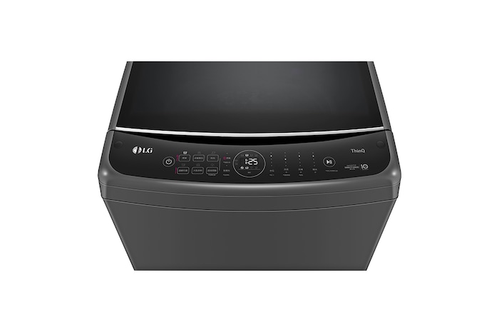 LG 17公斤直立式洗衣機|曜石黑|智慧直驅變頻|AI DD™, WT-VD17HM