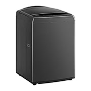LG 17公斤直立式洗衣機｜曜石黑｜智慧直驅變頻｜AI DD™, WT-VD17HM