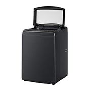 LG 19公斤直立式洗衣機｜極光黑｜智慧直驅變頻｜AI DD™, WT-VD19HB