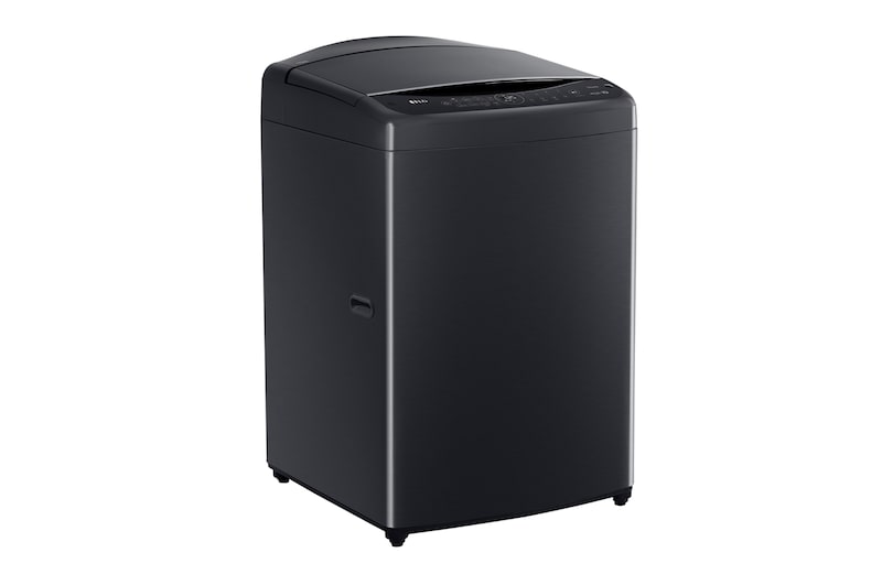 LG 15公斤直立式洗衣機｜極光黑｜智慧直驅變頻｜AI DD™, WT-VDN15HB