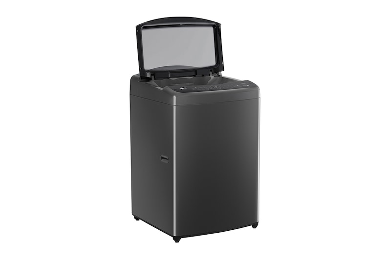 LG 15公斤直立式洗衣機｜曜石黑｜智慧直驅變頻｜AI DD™, WT-VDN15M