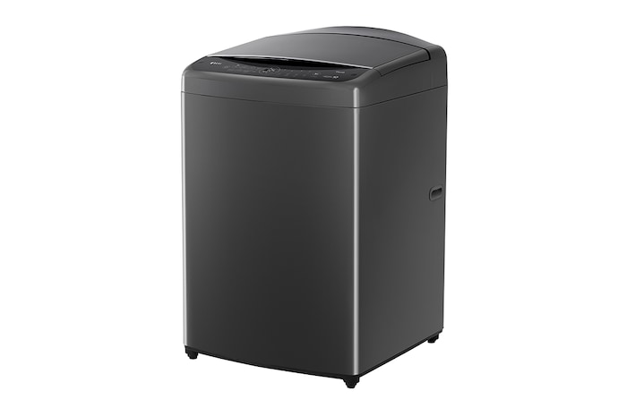 LG 15公斤直立式洗衣機|曜石黑|智慧直驅變頻|AI DD™, WT-VDN15M