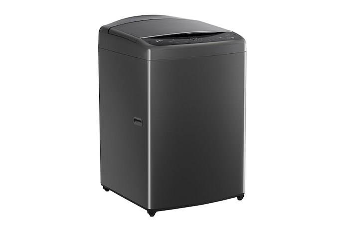 LG 15公斤直立式洗衣機|曜石黑|智慧直驅變頻|AI DD™, WT-VDN15M