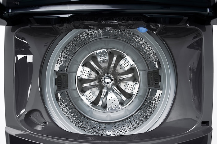 LG 15公斤直立式洗衣機|曜石黑|智慧直驅變頻|AI DD™, WT-VDN15M