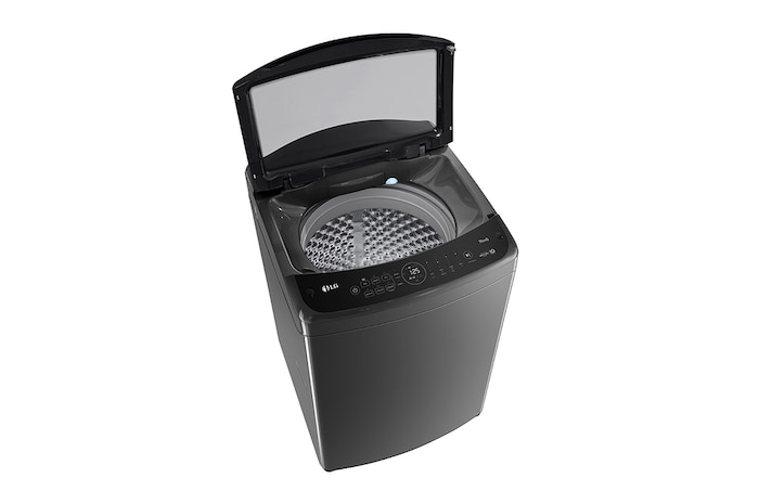 LG 15公斤直立式洗衣機|曜石黑|智慧直驅變頻|AI DD™, WT-VDN15M