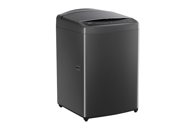 LG 17公斤直立式洗衣機｜曜石黑｜智慧直驅變頻｜AI DD™, WT-VDN17M