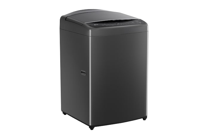 LG 17公斤直立式洗衣機｜曜石黑｜智慧直驅變頻｜AI DD™, WT-VDN17M