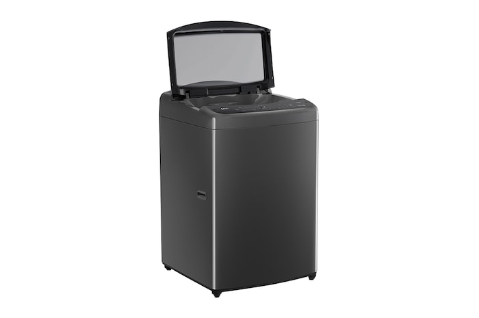 LG 17公斤直立式洗衣機｜曜石黑｜智慧直驅變頻｜AI DD™, WT-VDN17M
