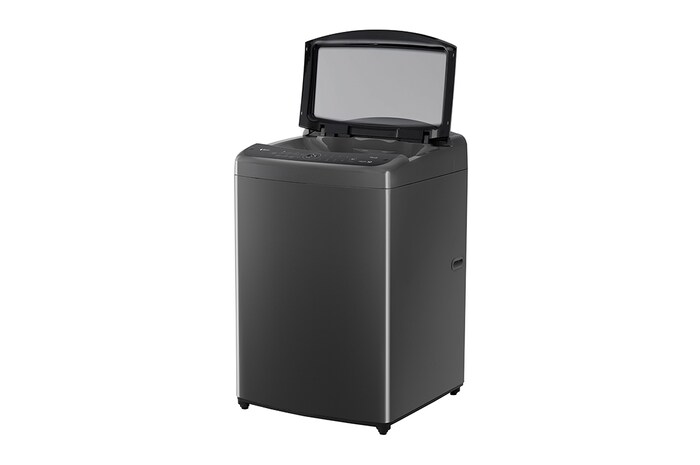 LG 17公斤直立式洗衣機｜曜石黑｜智慧直驅變頻｜AI DD™, WT-VDN17M