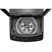 LG 17公斤直立式洗衣機｜曜石黑｜智慧直驅變頻｜AI DD™, WT-VDN17M