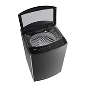 LG 17公斤直立式洗衣機｜曜石黑｜智慧直驅變頻｜AI DD™, WT-VDN17M