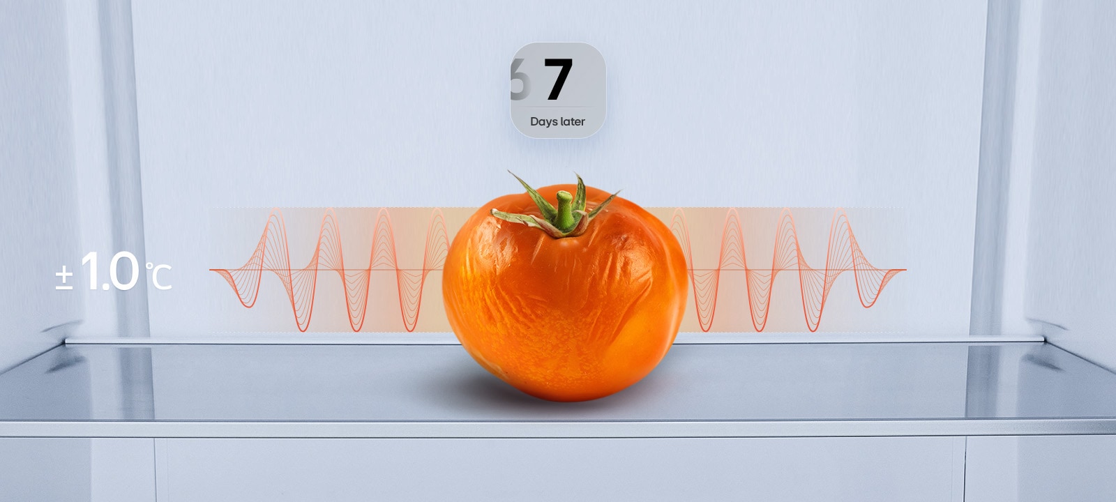 Wilted orange tomato on a shelf after 7 days with a red fluctuating temperature wave and the text ±1.0℃