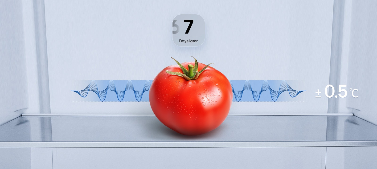 Fresh red tomato on a shelf after 7 days with a steady blue temperature wave and the text ±0.5℃